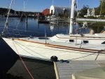 IMG_0047.jpeg