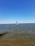 20200613_120652.jpg