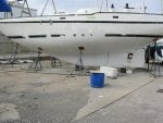IMG_1803.jpg