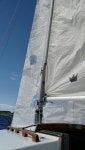 IMG_20160528_100236704.jpg