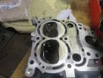 Suzuki Head.jpeg